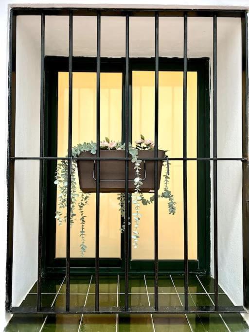 Apartamento Auxiliadora Luxury